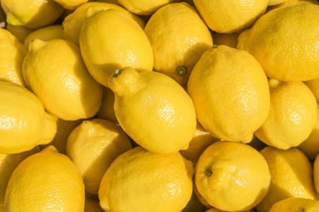 Lemons (Fresh Produce)