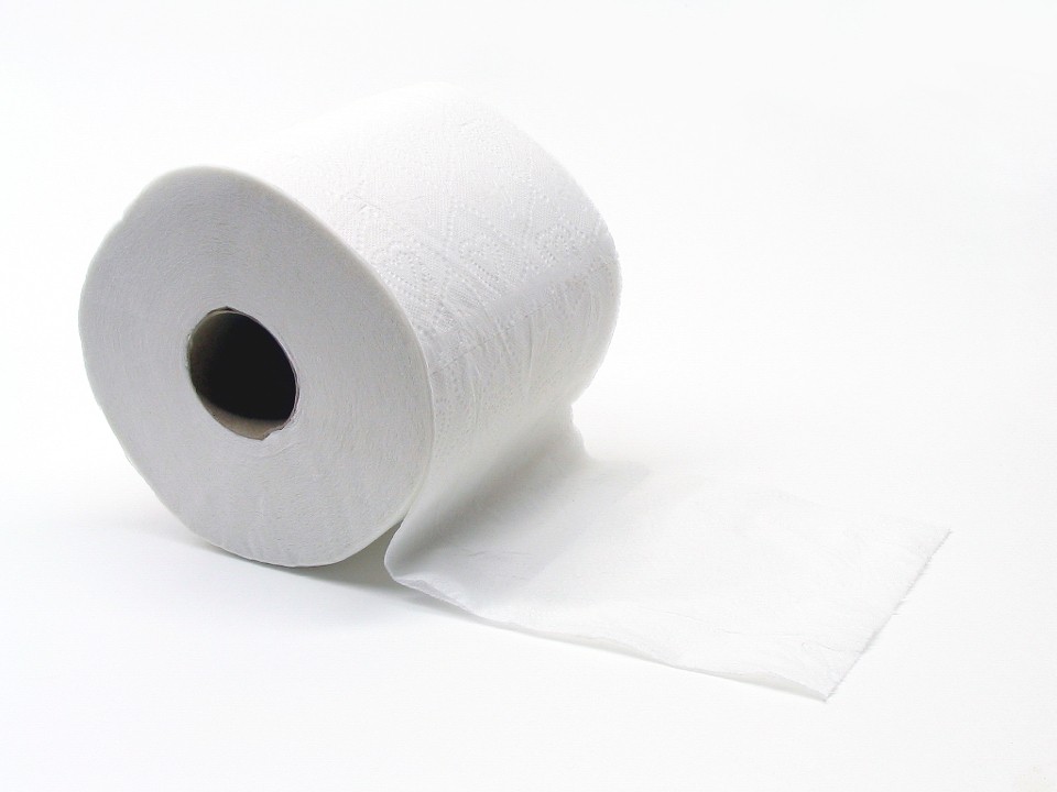 Toilet Paper (Paper Goods)