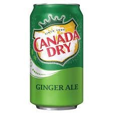 12oz Ginger Ale Can