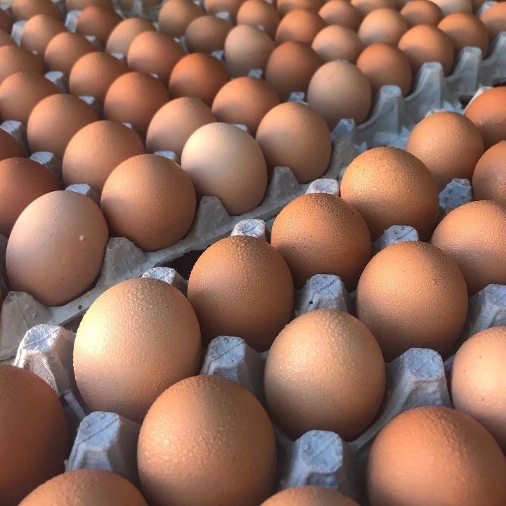 Storey Farm Brown Eggs