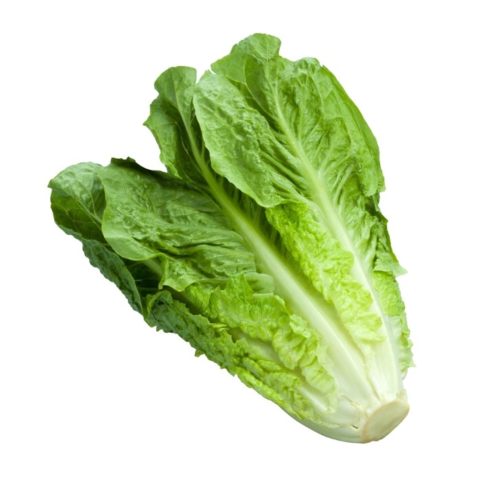 Lettuce- Romaine