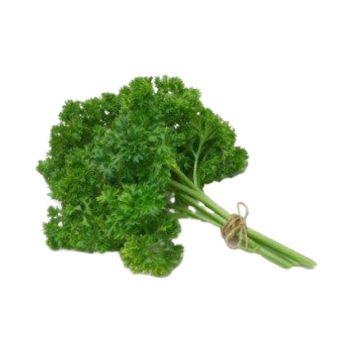 Parsley- Curly