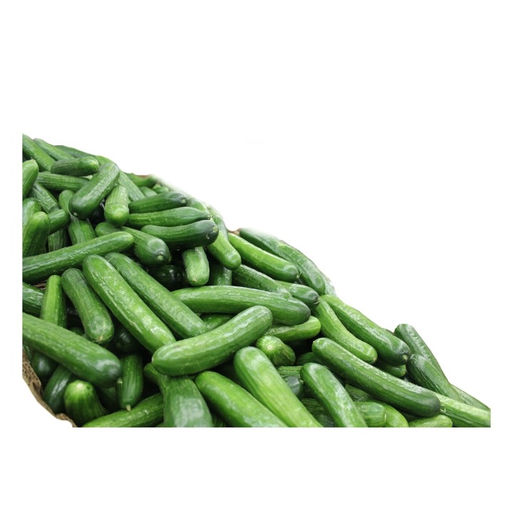 Cucumbers- Mini "Homegrown"