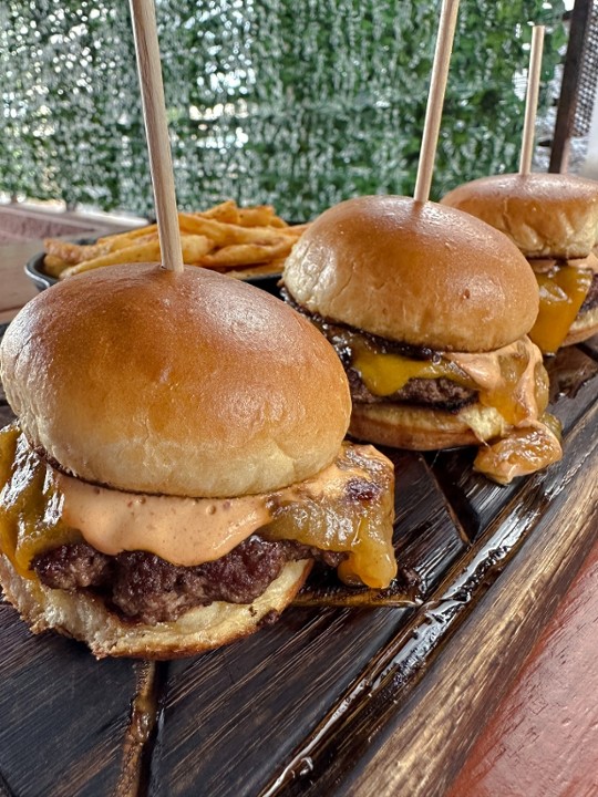 Tailgate Sliders