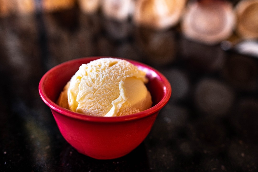 Ice Cream Scoop- Vanilla