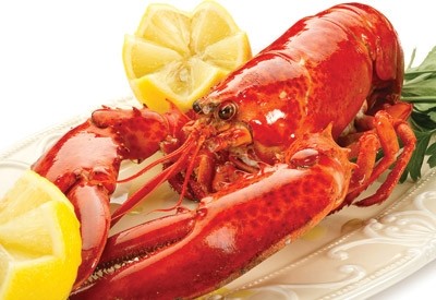 Lobster online