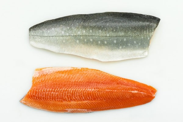 Arctic Char Fillet