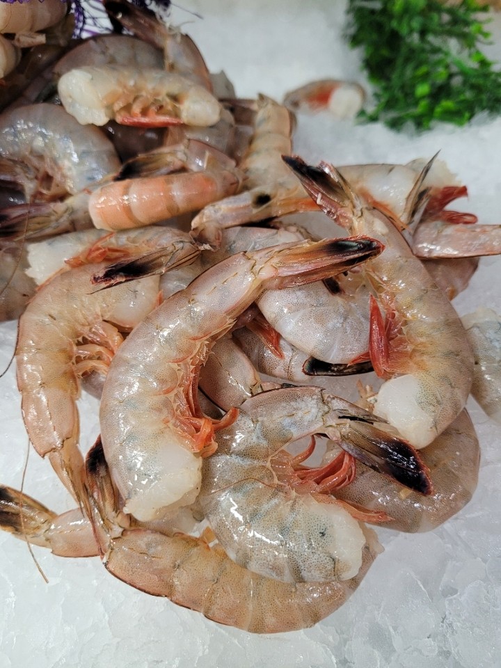 Carolina Shrimp