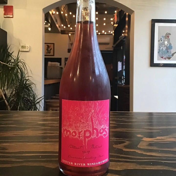 Oyster River Winegrowers ‘Morphos’ Rose