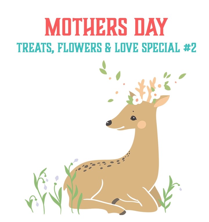 MOTHER'S DAY SPECIAL 2