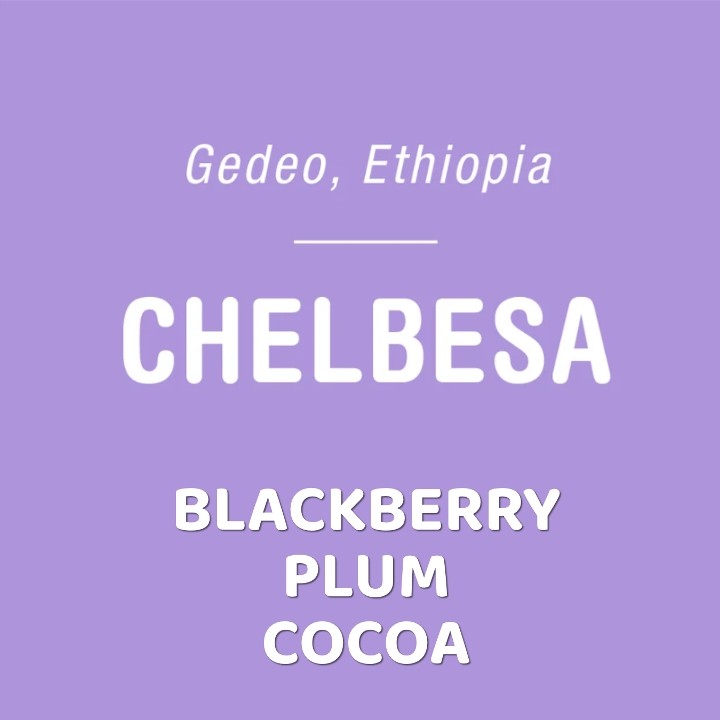 CHELBESA - (Ethiopia)