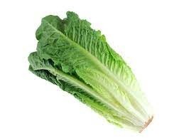 Lettuce - Romaine