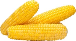 Corn - Sweet (ear)