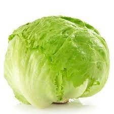 Lettuce - Iceberg