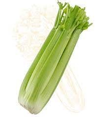 Celery (bunch)