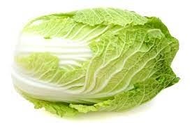 Cabbage - Napa