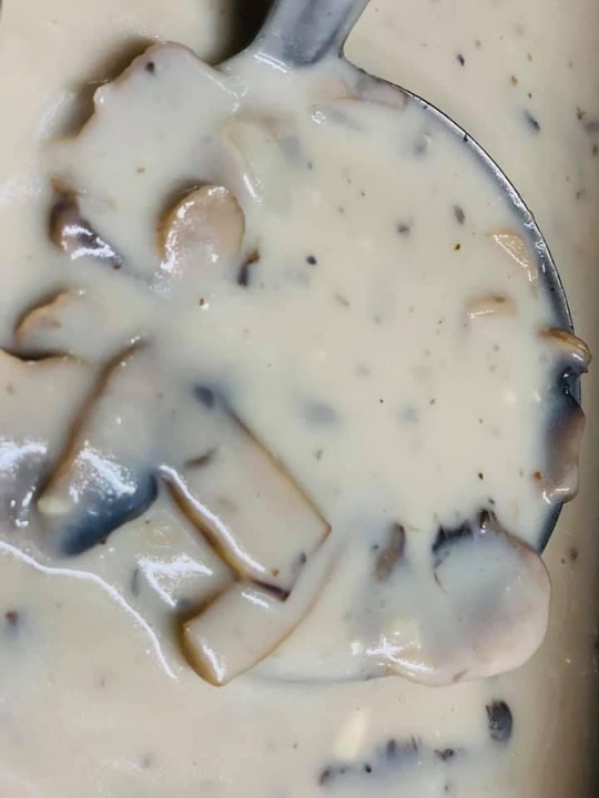 Today's Soup Online-Cream of Mushroom
