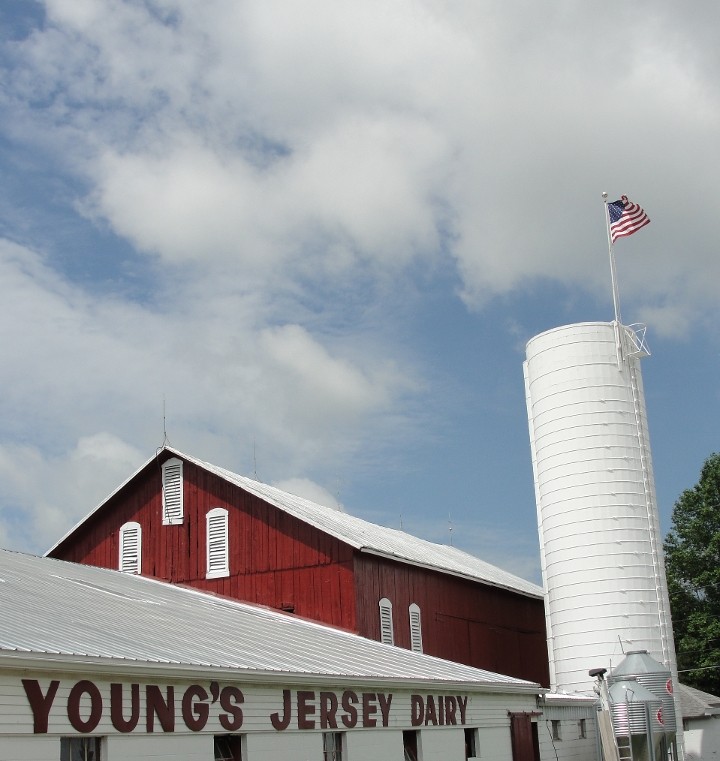 Young's Jersey Dairy - OLD