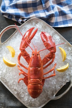 The Lobster Trap