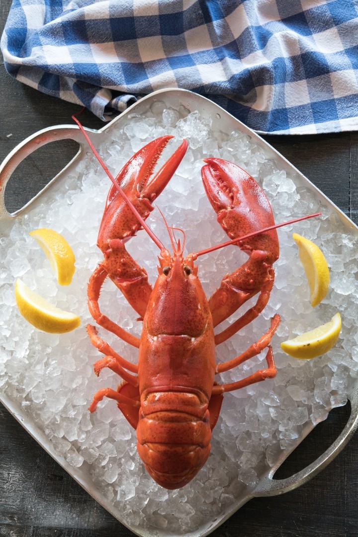 The Lobster Trap