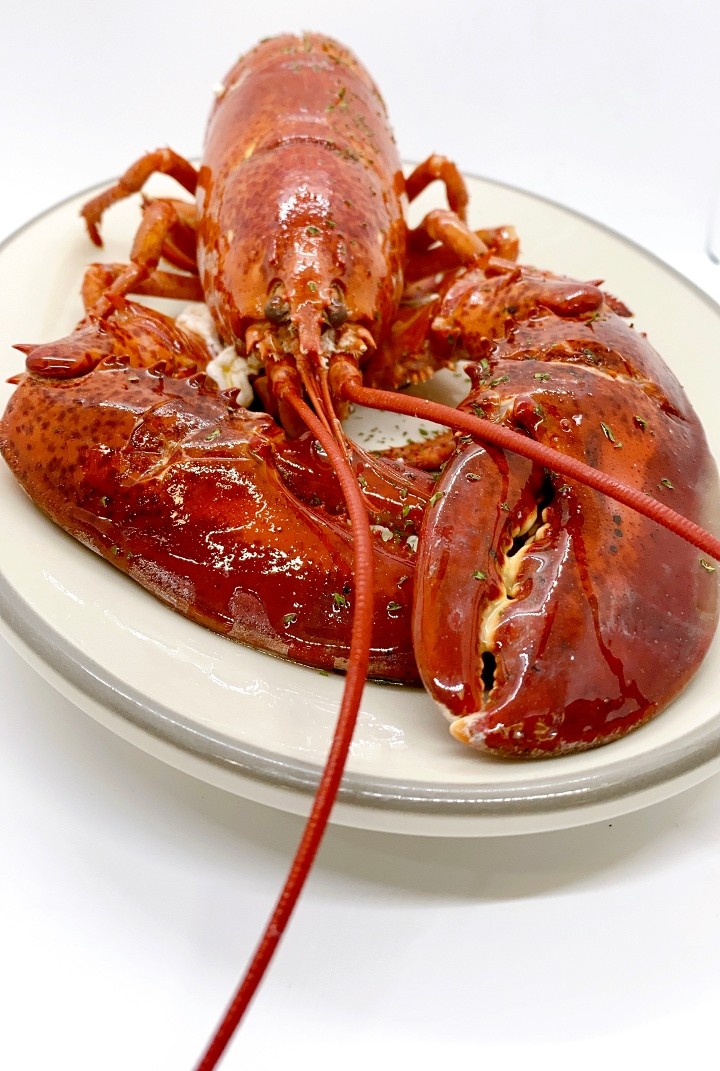 Lobster Whole