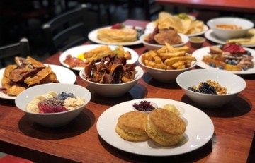 Molly Malloy's