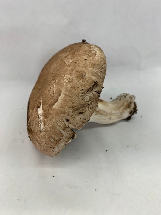Portabella Mushrooms (per pound)