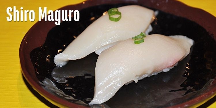 Shiro Maguro Sushi