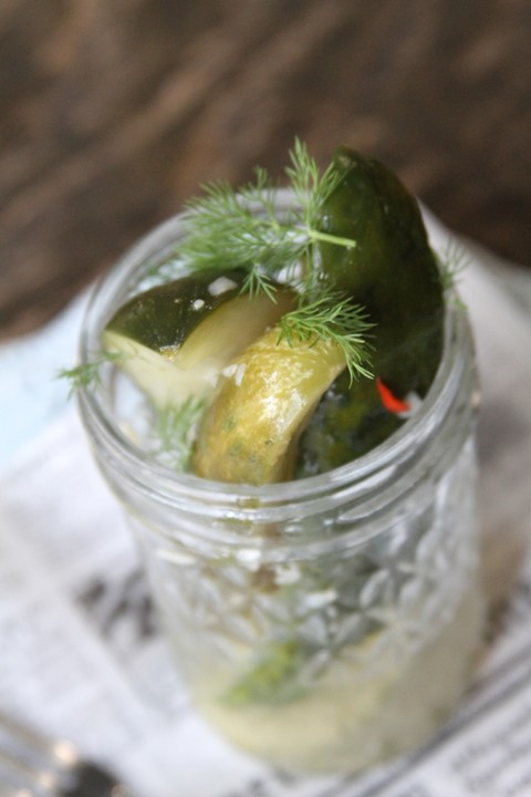 SPICY DILL PICKLES
