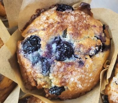 Blueberry Muffin