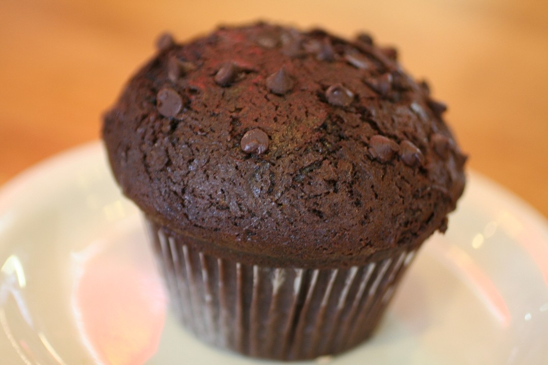 Chocolate Chocolate Chip Muffin