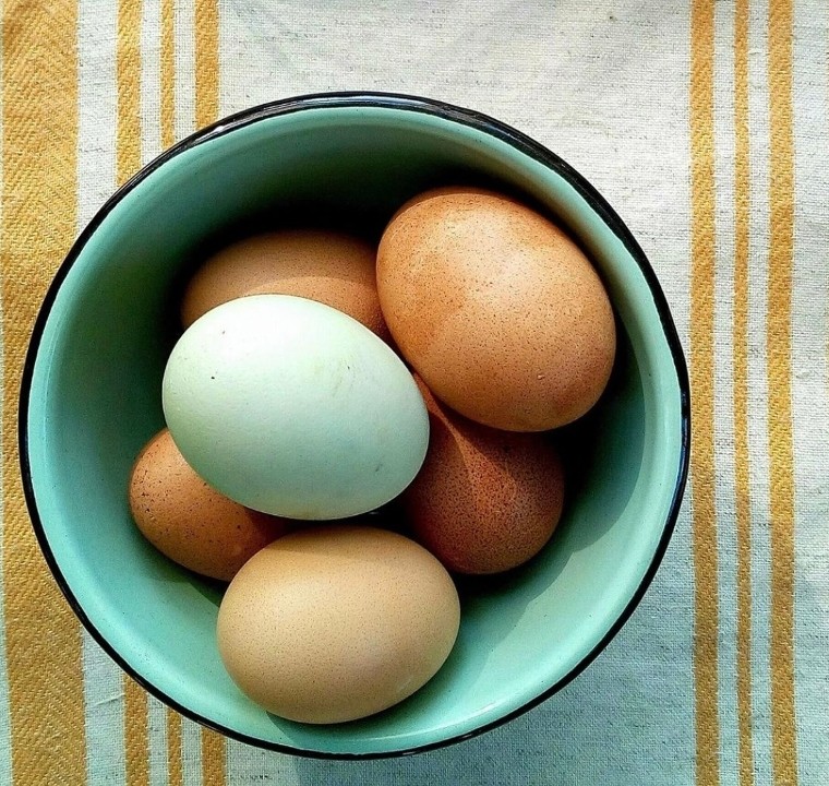Egg Farm Fresh Omelette (No Filling)