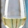 Glass: Marqués de Cáceres Cava, Sparkling White