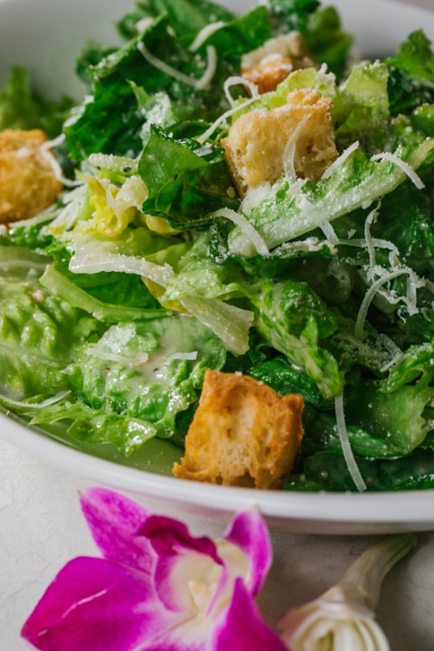 Kale & Romaine Caesar Salad