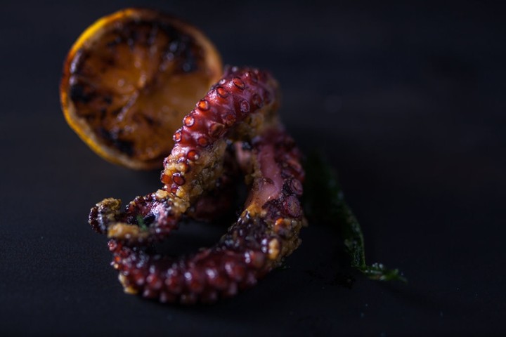 Octopus