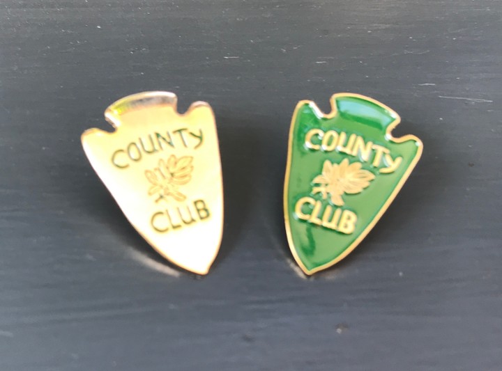 Arrowhead Pin