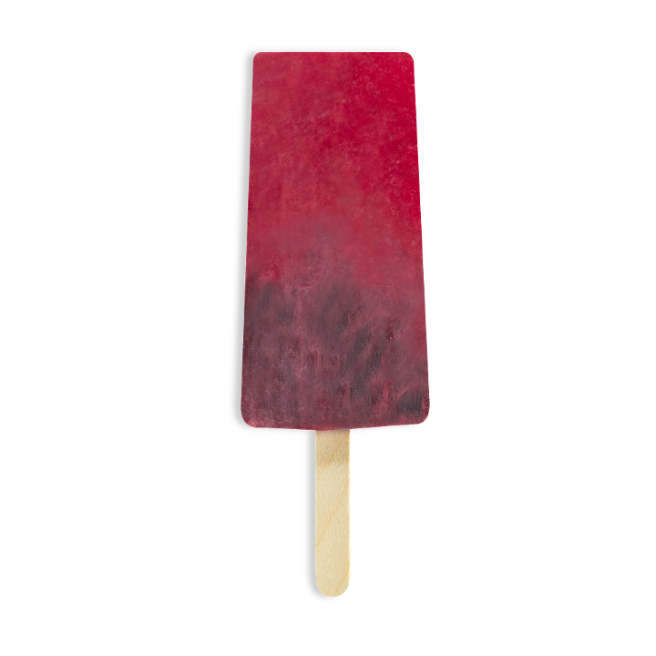 Jamaica Paleta