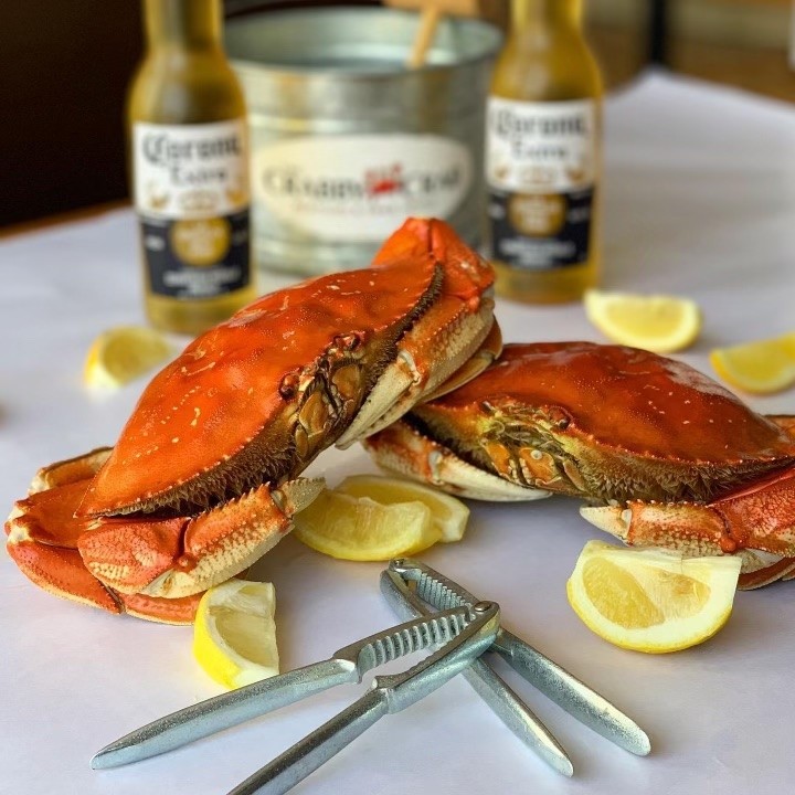 Dungeness Crab