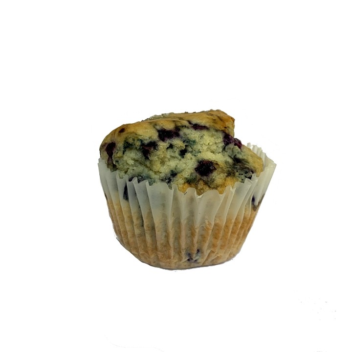 Gluten-Free Blueberry Muffin