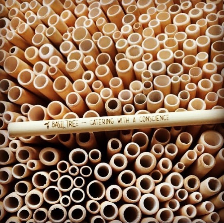 Bamboo Straws (set of 5)
