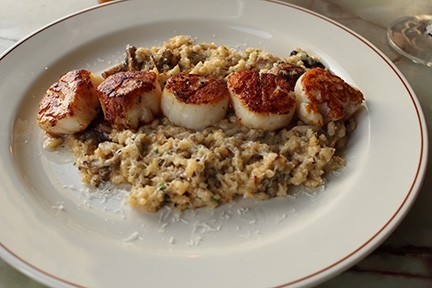 SCALLOPS