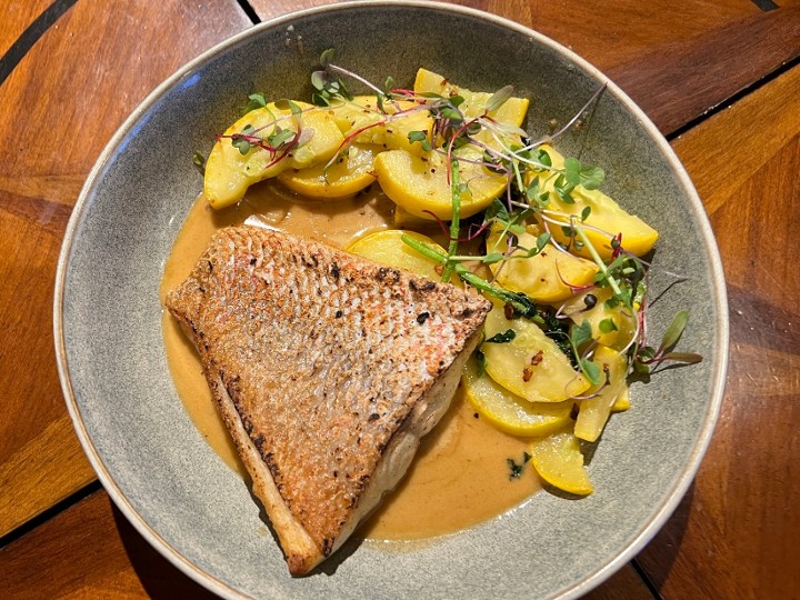 Red Snapper