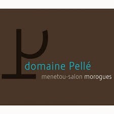 Domaine Pelle Sauvignon Blanc 'Morogues'