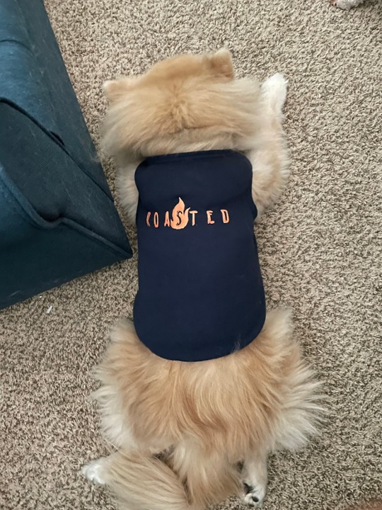 Doggie Shirt
