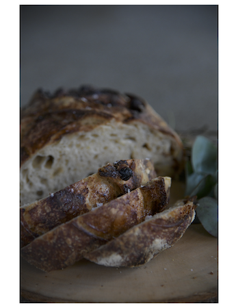 Rosemary Olive Oil Sourdough Loaf
