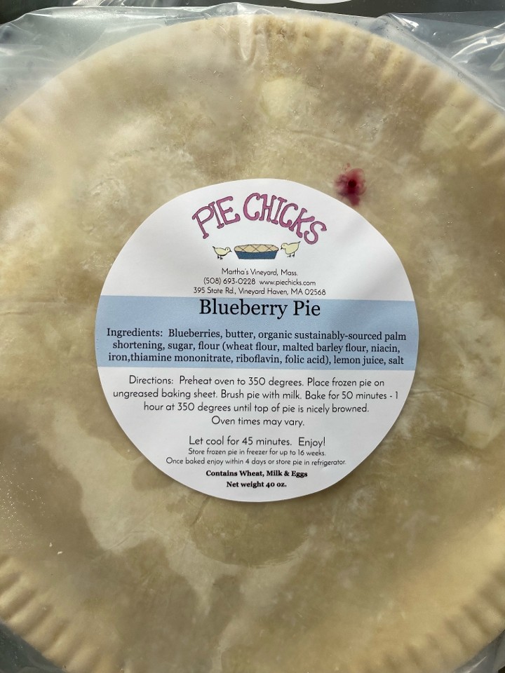 9" Blueberry Pie--Frozen