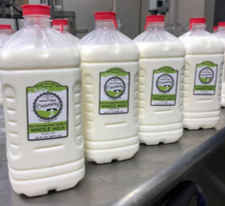 Indian Spring Whole Milk - 64oz