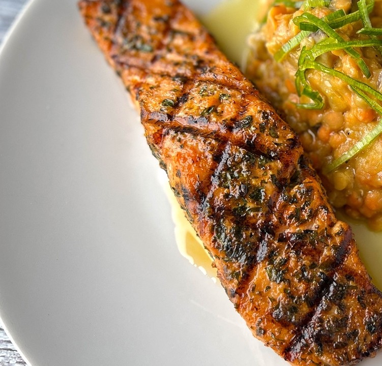 Salmon