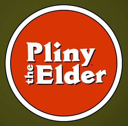Pliny the Elder - 17oz
