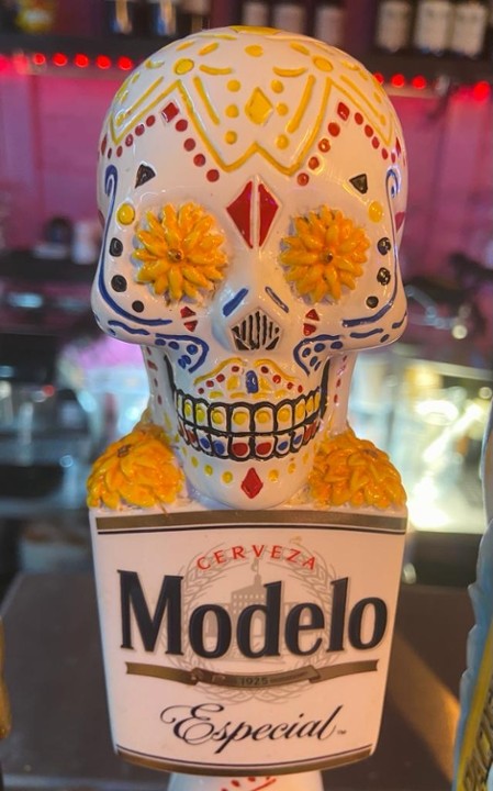 MODELO ESPECIAL Draft*
